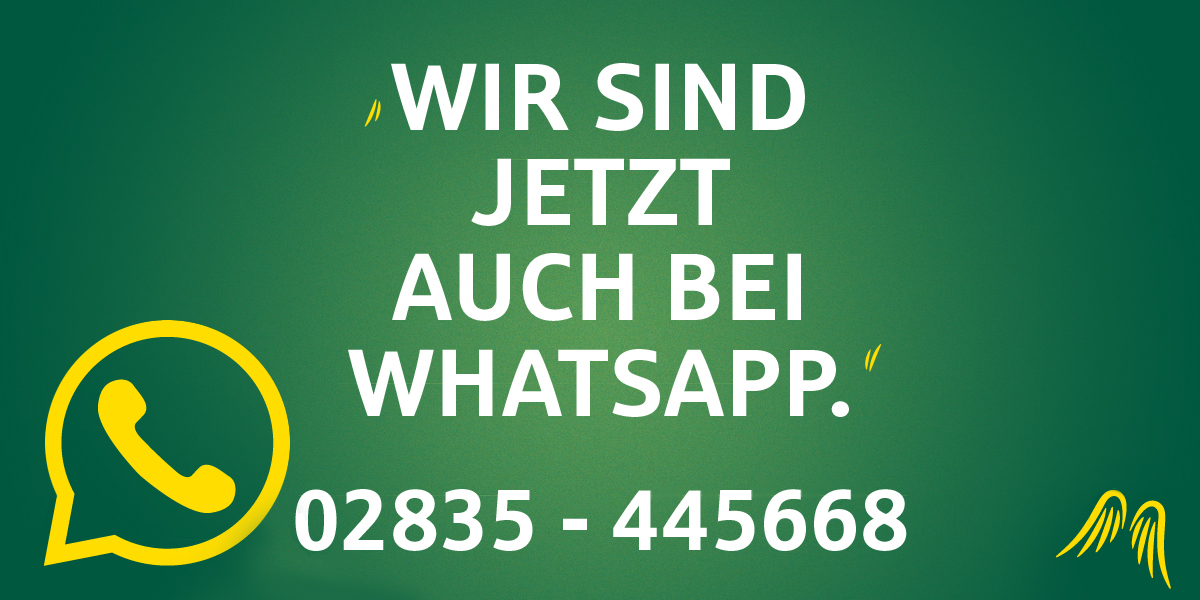 WhatsAppService